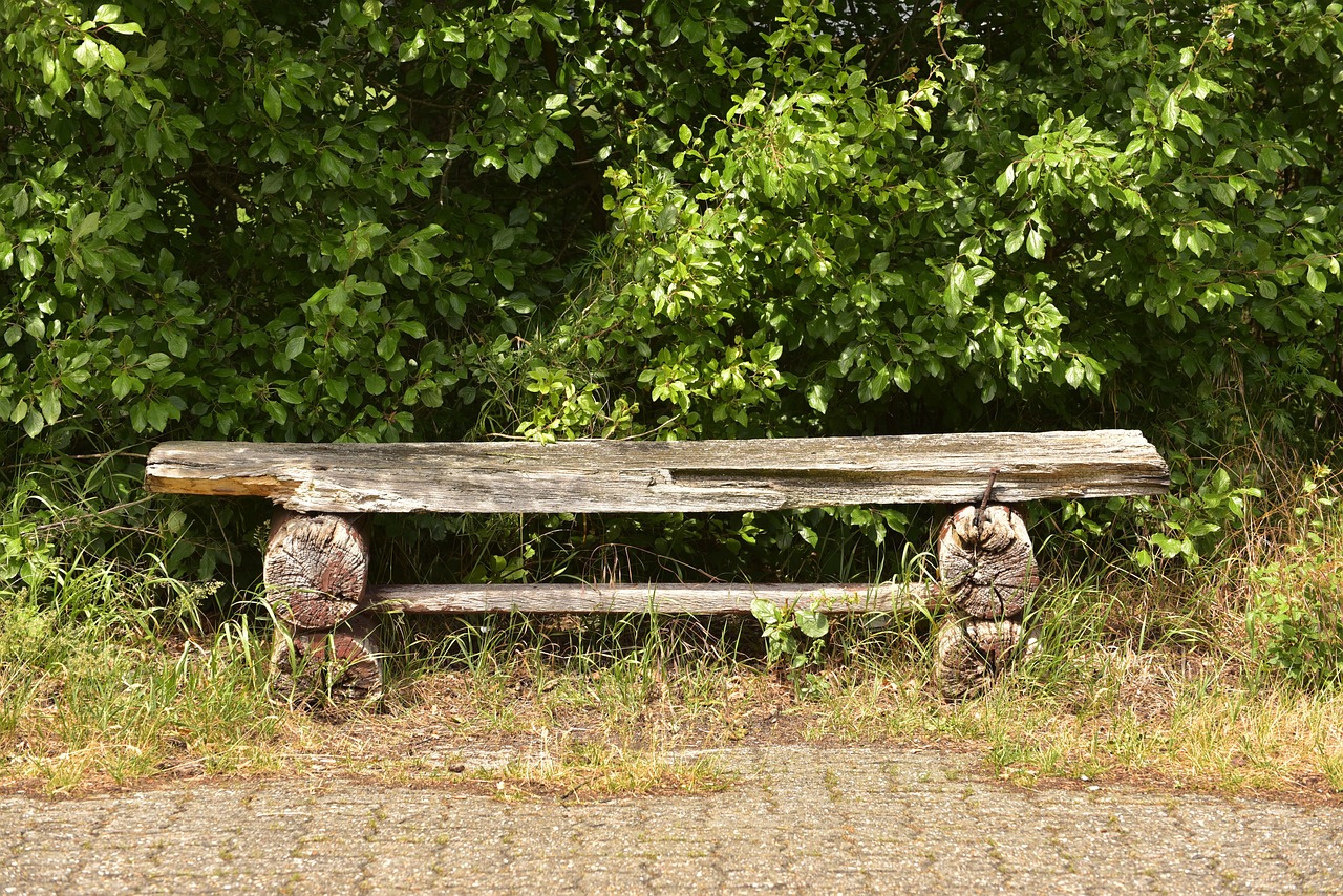 7 Easy Steps to Build a Wooden Garden Bench